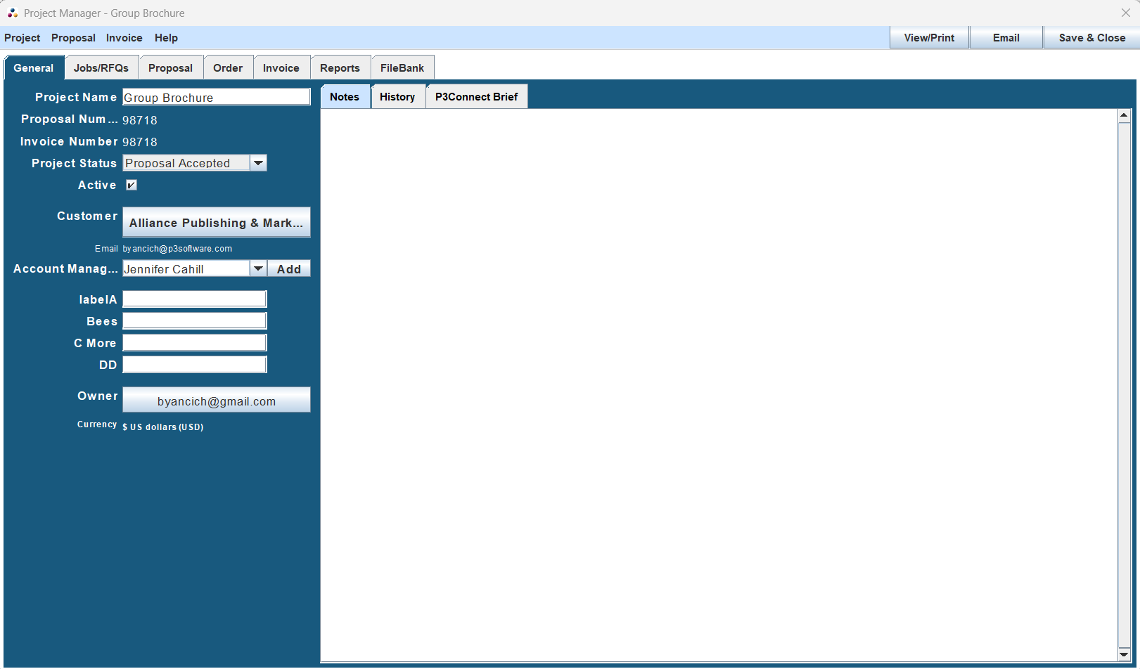 Project Manager Overview